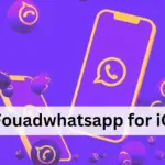 Download Fouadwhataspp