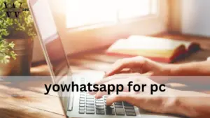 download yowhatsapp for pc