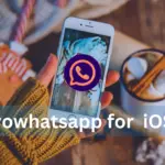 Download yo whatsapp for ios