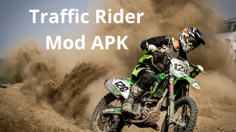 Traffic Rider